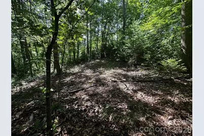 00 Lake Logan Road, Canton, NC 28716 - Photo 18