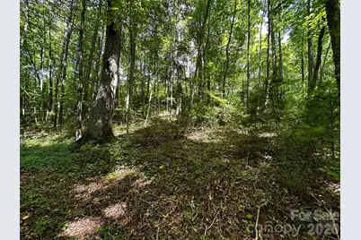 00 Lake Logan Road, Canton, NC 28716 - Photo 22