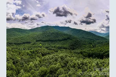 00 Lake Logan Road, Canton, NC 28716 - Photo 8