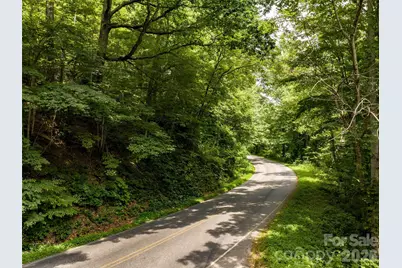 00 Lake Logan Road, Canton, NC 28716 - Photo 12