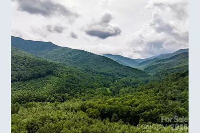 00 Lake Logan Road, Canton, NC 28716 - Photo 4