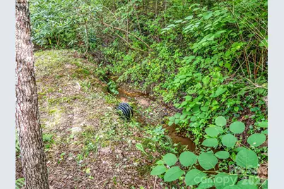 701 Azalea Avenue, Black Mountain, NC 28711 - Photo 42