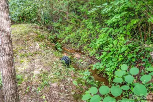 701 Azalea Ave, Black Mountain, NC 28711 - Photo 42