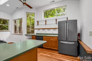 701 Azalea Ave, Black Mountain, NC 28711 - Photo 8