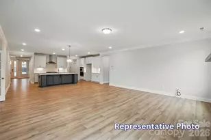 4481 Blue Mound Ct, Stanley, NC 28164 - Photo 10