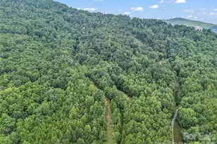 479 Camp Hill Rd, Mill Spring, NC 28756 - Photo 48