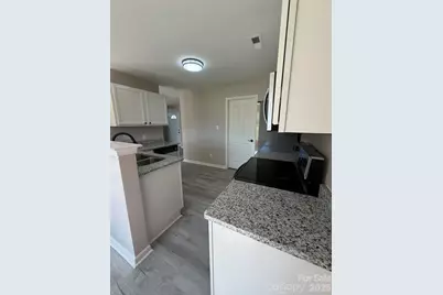 8207 Belmont Stables Drive, Charlotte, NC 28216 - Photo 10