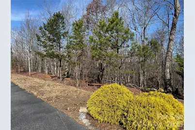 108 Woodgate Drive #94, Nebo, NC 28761 - Photo 10