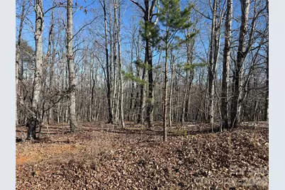 108 Woodgate Drive #94, Nebo, NC 28761 - Photo 2