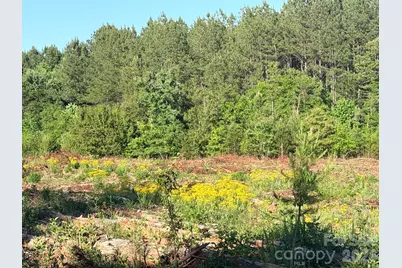 Lot 2 Doggett Grove Road, Forest City, NC 28043 - Photo 4
