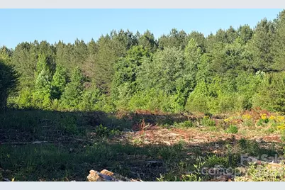 Lot 2 Doggett Grove Road, Forest City, NC 28043 - Photo 2