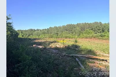 Lot 2 Doggett Grove Road, Forest City, NC 28043 - Photo 1