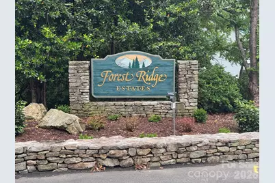 518 Forest Ridge Drive, Mars Hill, NC 28754 - Photo 48