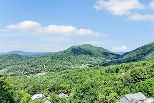 830 Trials Gap Dr, Waynesville, NC 28786 - Photo 4