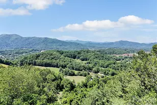 830 Trials Gap Dr, Waynesville, NC 28786 - Photo 2