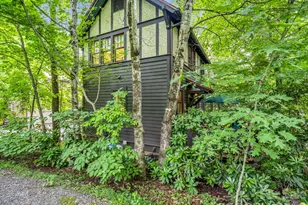 46 Cheshire Dr, Black Mountain, NC 28711 - Photo 40