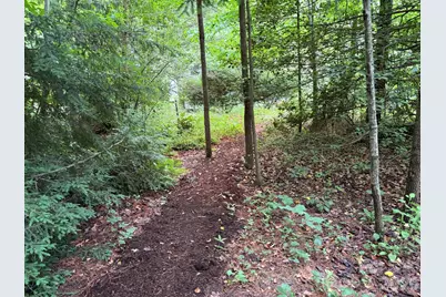 46 Cheshire Drive, Black Mountain, NC 28711 - Photo 4