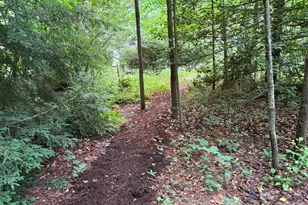 46 Cheshire Dr, Black Mountain, NC 28711 - Photo 4