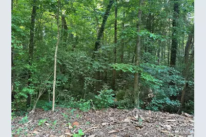 0 Briarcliff Road, Rockwell, NC 28138 - Photo 22