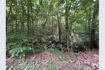 0 Briarcliff Road, Rockwell, NC 28138 - Photo 20