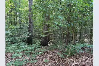 0 Briarcliff Road, Rockwell, NC 28138 - Photo 16