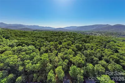 38 Nixon Terrace, Asheville, NC 28805 - Photo 46