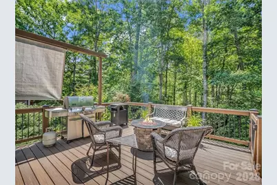 1042 Columbine Road, Asheville, NC 28803 - Photo 46