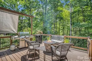 1042 Columbine Rd, Asheville, NC 28803 - Photo 46