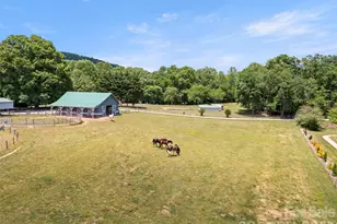 363 Samuel Dr, Mills River, NC 28759 - Photo 44