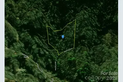 111 Birch Tree Cove, Franklin, NC 28734 - Photo 2