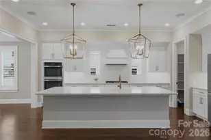 115 Little Indian Loop, Mooresville, NC 28117 - Photo 8