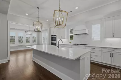 115 Little Indian Loop, Mooresville, NC 28117 - Photo 10