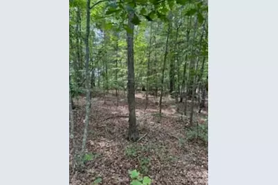 0 Smith Waldrop Road, Columbus, NC 28722 - Photo 8