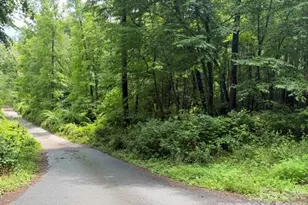 9999 Independence Blvd, Asheville, NC 28805 - Photo 1