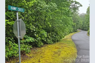101 Hawks Crest, Brevard, NC 28712 - Photo 2