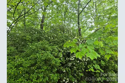 101 Hawks Crest, Brevard, NC 28712 - Photo 10