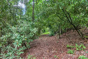 17198 Rosman Hwy, Lake Toxaway, NC 28747 - Photo 42