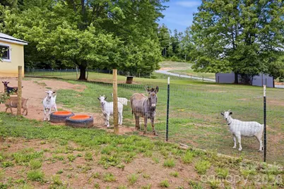 360 Johnson Caldwell Road, Boomer, NC 28606 - Photo 4