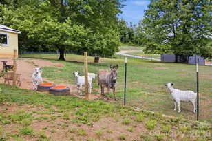 360 Johnson Caldwell Rd, Boomer, NC 28606 - Photo 4
