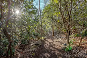 15 E Owl Creek Ln, Fairview, NC 28730 - Photo 42