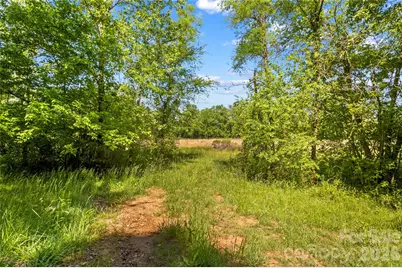 711 Spring Pointe Drive, Stony Point, NC 28678 - Photo 38