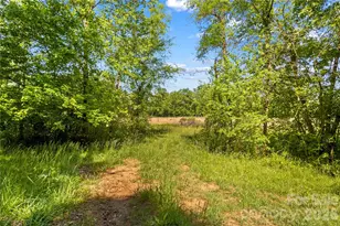 711 Spring Pointe Dr, Stony Point, NC 28678 - Photo 38