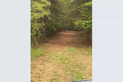 Tract 2 Hill Road, Marion, NC 28752 - Photo 6