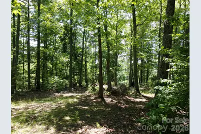 118 Upper Ridge Road, Bostic, NC 28018 - Photo 10