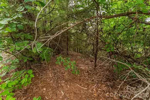 0 Brighton Dr, Bostic, NC 28018 - Photo 18