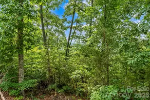 0 Brighton Dr, Bostic, NC 28018 - Photo 16