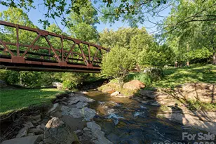 124 Lilikoi Ln, Asheville, NC 28804 - Photo 1
