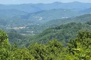 105 Dotsu Trl, Maggie Valley, NC 28751 - Photo 2
