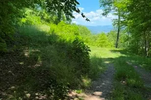 105 Dotsu Trl, Maggie Valley, NC 28751 - Photo 20