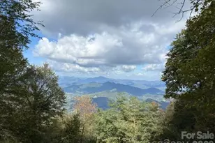 105 Dotsu Trl, Maggie Valley, NC 28751 - Photo 18